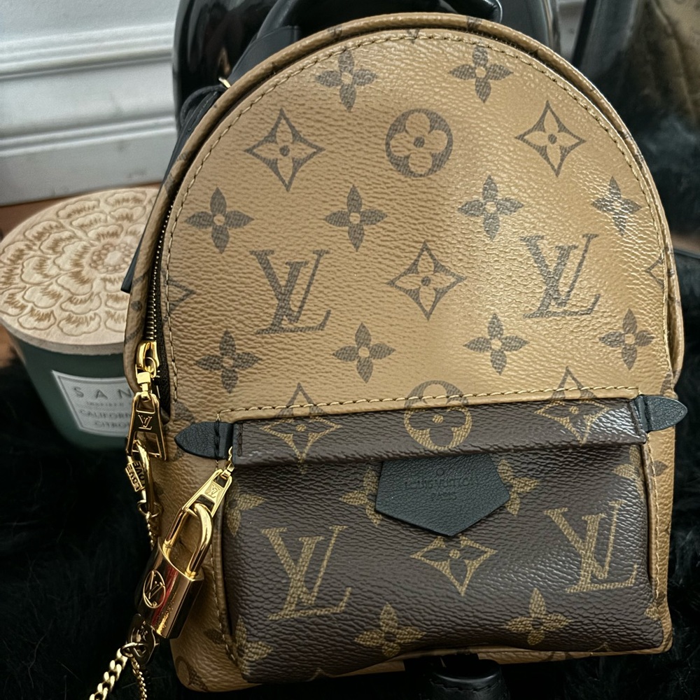 Mini Louis Vuitton backpack reverse